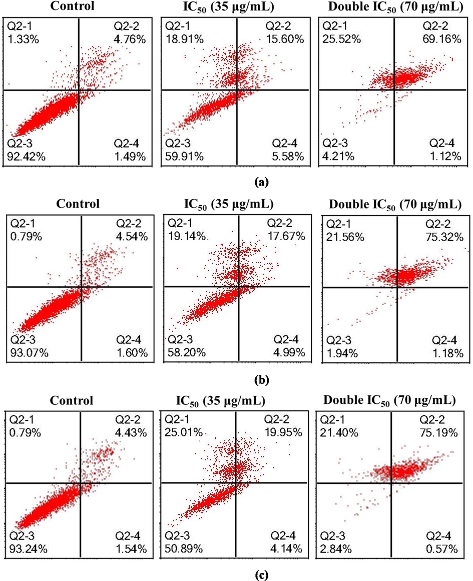 Representative cytogram of PANC-1 cells: PANC-1 cells were exposed to untreated (culture medium) and Hexane extract for (a) 24 h, (b) 48 h and (c) 72 h. Quadrant + YUI9L0\location for the representative dot plots: Q2-1: upper left—FITC-/PI+ (necrotic cells); Q2-2: upper right— FITC+/PI+ (late apoptotic cells); Q2-3: lower left— FITC-/PI- (viable cells) and Q2-4: lower right— FITC+/PI- (early apoptotic cells).