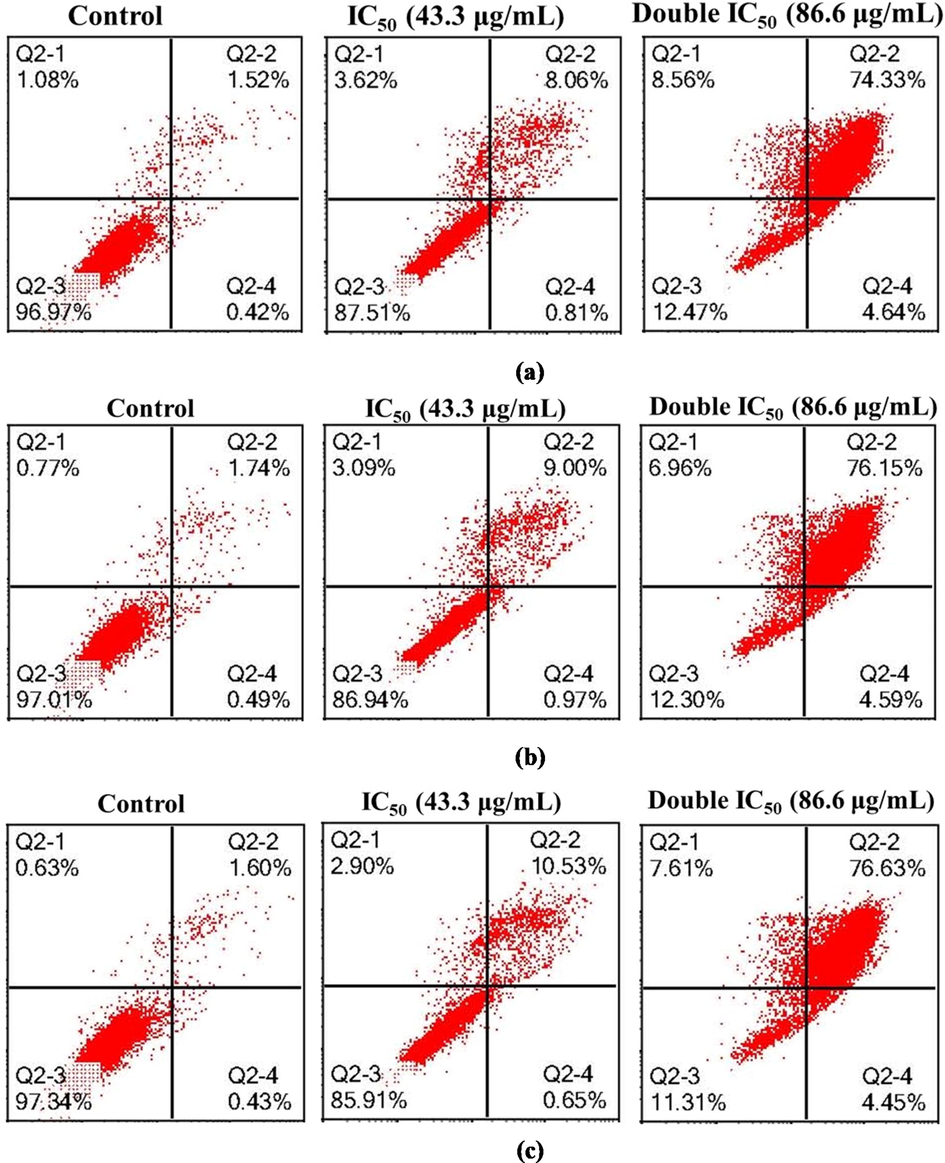 Representative cytogram of MCF-7 Adr. cells: MCF-7 Adr. cells were exposed to untreated (culture medium) and Hexane extract for (a) 24 h, (b) 48 h and (c) 72 h. Quadrant location for the representative dot plots: Q2-1: upper left—FITC-/PI+ (necrotic cells); Q2-2: upper right— FITC+/PI+ (late apoptotic cells); Q2-3: lower left— FITC-/PI- (viable cells) and Q2-4: lower right— FITC+/PI- (early apoptotic cells).