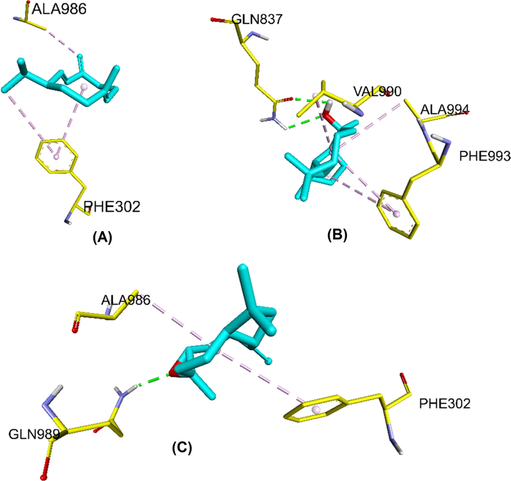 The docked poses of A) Germacrene D, B) viridiflorol, and C) caryophyllene oxide in the substrate binding sites of ABCB1 6FN1.