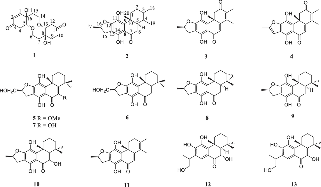 Chemical structures of compounds 1–13.