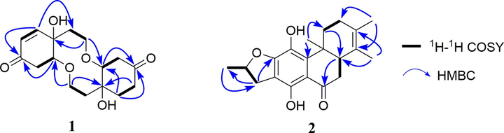 1H–1H COSY and key HMBC correlations of compounds 1 and 2.