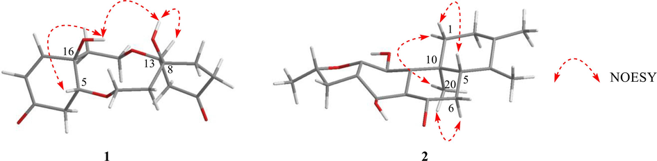 Selected NOESY correlations of compounds 1 and 2.