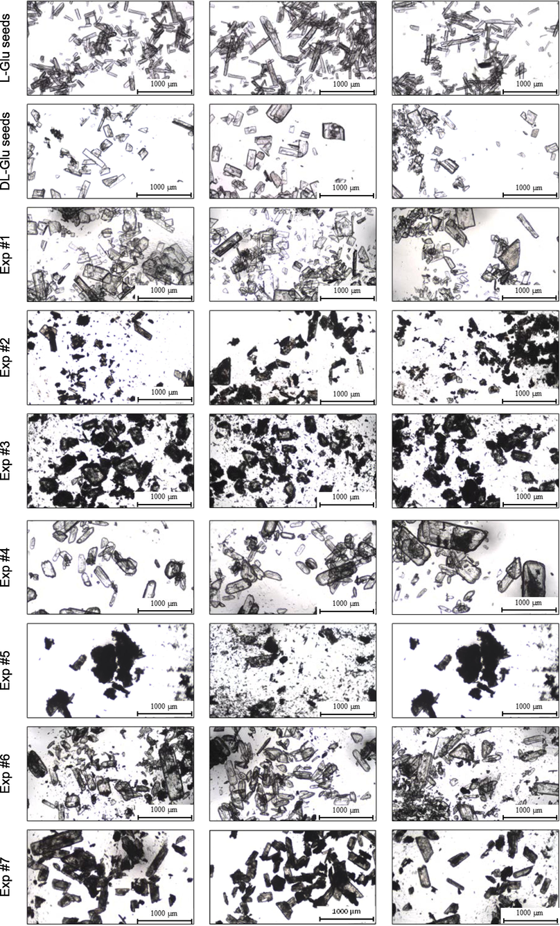 Representative microscope images of the seed crystals and the products of the experiments summarized in Table 3.