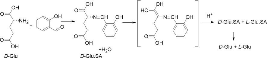 A potential mechanism of the catalyzed racemization reaction. The salicylaldehyde (SA) acts as a catalyst.