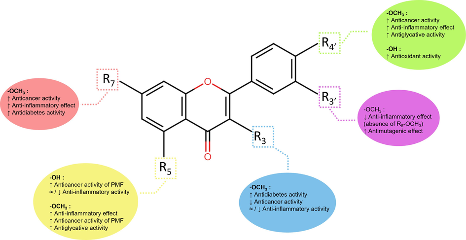 Structure-activity relationship of reported PMFs from K. parviflora.