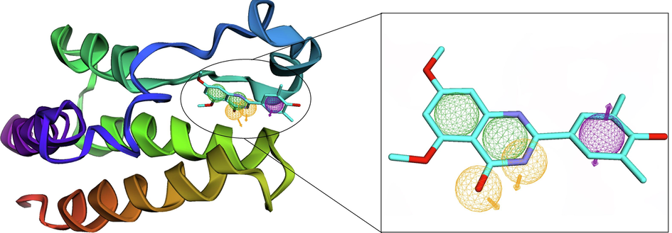 Structure-based pharmacophore model derived from crystal structures of the second bromodomain of human BRD2 bound with a quinazolinone inhibitor (RVX-208) using ZINCPharmer. The hydrogen bond acceptors, the hydrophobic feature and aromatic feature were shown in yellow, green, and purple spheres, respectively. The arrows show the constraint direction.