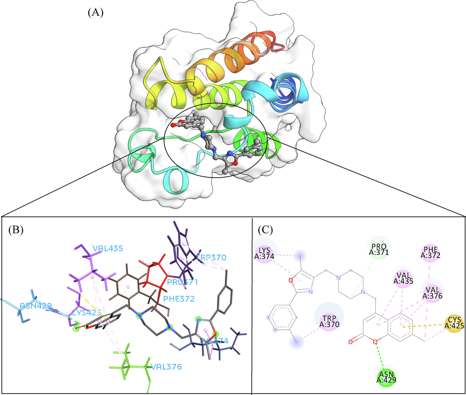 The 3D interaction (a), docked pose view (b) and 2D interaction (c) profile of ZINC20417563 docked with BRD2 protein. Hydrogen bonds are displayed as green ball and stick, Pi-Sulfur are displayed as gold ball and stick, hydrophobic (pi-pi/pi-alkyl stacking) are displayed as pink ball and stick, and carbon-hydrogen bond are displayed as white ball and stick.