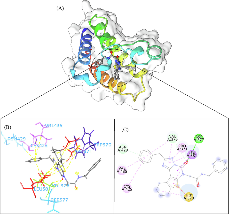 The 3D interaction (a), docked pose view (b) and 2D interaction (c) profile of ZINC12322175 docked with BRD2 protein. Hydrogen bonds are displayed as green ball and stick, Pi-Sulfur are displayed as gold ball and stick, hydrophobic (pi-pi/pi-alkyl stacking) are displayed as pink ball and stick, and carbon-hydrogen bond are displayed as white ball and stick.