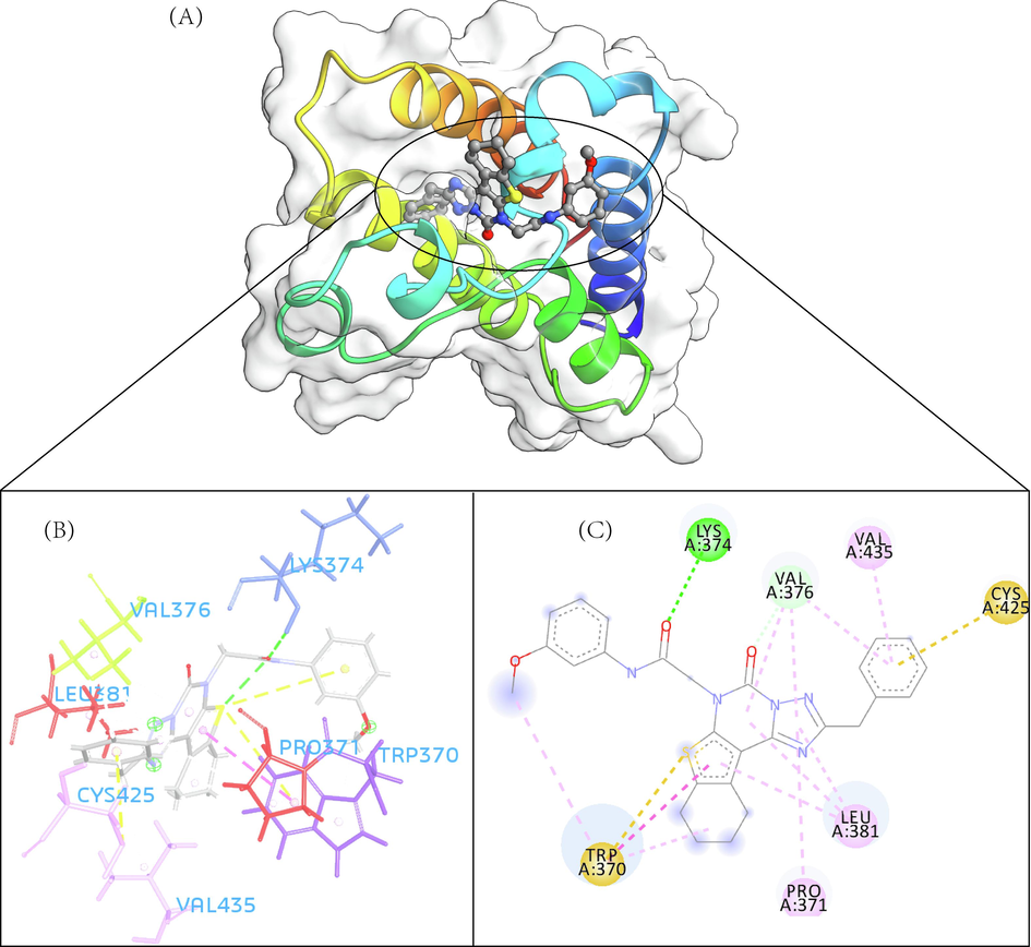 The 3D interaction (a), docked pose view (b) and 2D interaction (c) profile of ZINC12391479 docked with BRD2 protein. Hydrogen bonds are displayed as green ball and stick, Pi-Sulfur are displayed as gold ball and stick, hydrophobic (pi-pi/pi-alkyl stacking) are displayed as pink ball and stick, and carbon-hydrogen bond are displayed as white ball and stick.