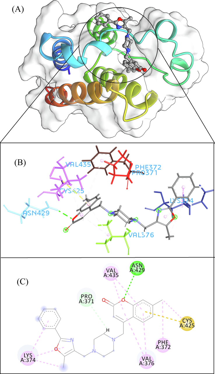 The 3D interaction (a), docked pose view (b) and 2D interaction (c) profile of ZINC20407881 docked with BRD2 protein. Hydrogen bonds are displayed as green ball and stick, Pi-Sulfur are displayed as gold ball and stick, hydrophobic (pi-pi/pi-alkyl stacking) are displayed as pink ball and stick, and carbon-hydrogen bond are displayed as white ball and stick.