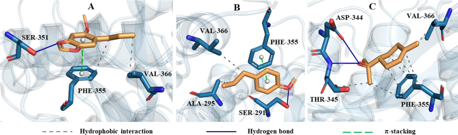 The interactions of tyrosinase with asaricin (A), estragole (B) and α-terpineol (C).