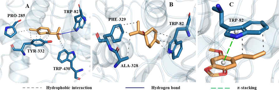 The interactions of butyrylcholinesterase with α-terpineol (A), terpinen-4-ol (B) and asaricin (C).