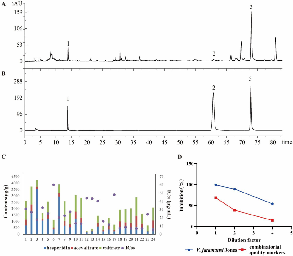 Quantitative analysis and contribution of V. jatamansi. (A) HPLC chromatogram of V. jatamansi. 1: hesperidin; 2: acevaltrate 3: valtrate. (B) HPLC of chromatogram mixed standard solution. 1: hesperidin; 2: acevaltrate 3: valtrate. (C) Correlation of anti-inflammatory activity and combinatorial quality markers content of different batches of V. jatamansi. (D) Inhibition rates of anti-inflammatory activity of V. jatamansi and combinatorial quality markers at different dilutions.