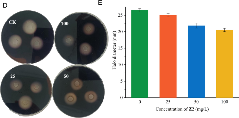 Impacts of Z2 on Xoo Extracellular cellulase (D and E).