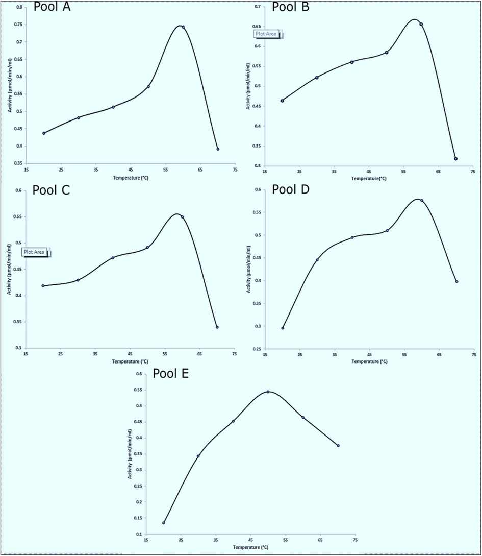 Effect of temperature on papain activity. In Fig. 3, we illustrate the impact of temperature on papain activity in pools A, B, C, D, and E. The enzyme's activity in each pool was measured at varying temperatures, ranging from 20 °C to 70 °C. As indicated in the figure, the enzyme's optimal activity was observed at 59 °C for pools A, C, and D, at 58 °C for pool B, and at 50 °C for pool E. These temperature ranges reflect the conditions under which papain exhibited its highest catalytic efficiency for each specific pool ().