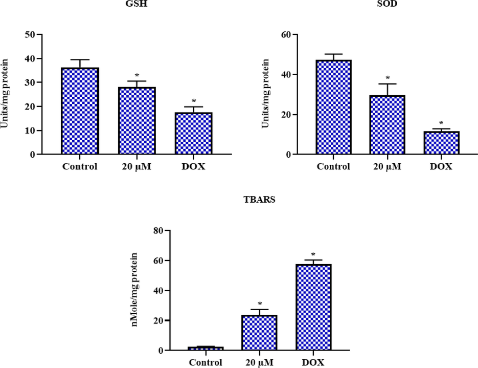 Effect of geraniol on the oxidative stress marker levels in C666-1 cells. Results were represented as the mean ± SD of three independent experiments. GraphPad Prism software was used to analyze the final data using one-way ANOVA and Tukey's post hoc analysis. Note: An asterisk (*) indicates that the results are significantly differed from the control at p < 0.05.