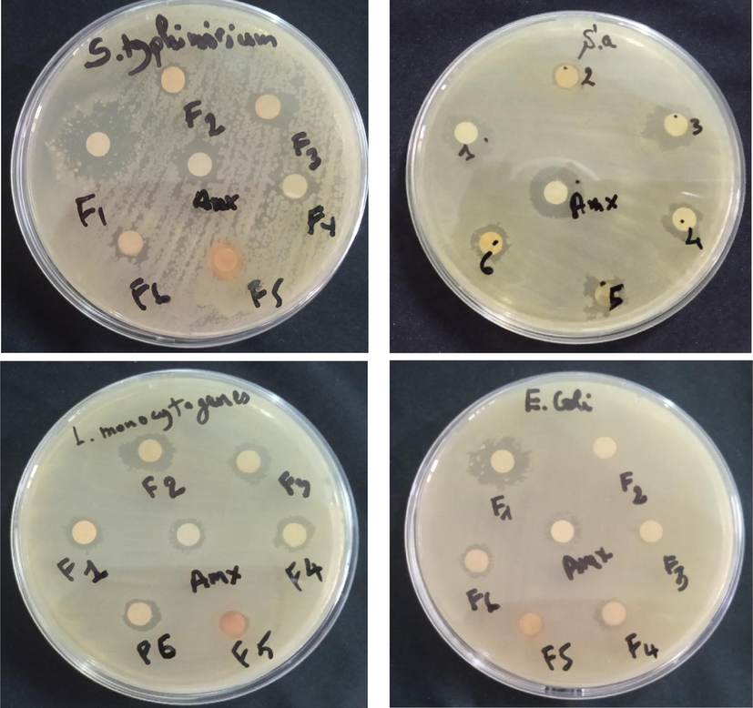 Disc diffusion method of Pelargonium graveolens essential oil fractions.