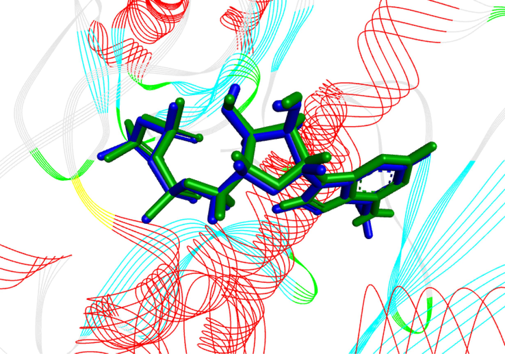 3D visualization of docking validation by the redocking method of the co-crystallized ligand in the topoisomerase IIα receptor (PDB: 1ZXM).