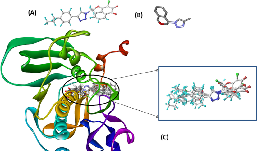 (a) Molecular alignment by rigid distill of the dataset, (A) most active N17 as template, (B) Common core of the data set compounds and (c) dataset alignment employed by distill rigid for 3D-QSAR modeling.