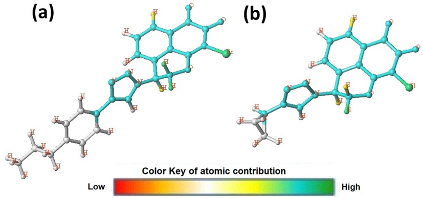 Hologram quantitative structure activity relationship model contribution map of the most compound N17 and the less compound N10.