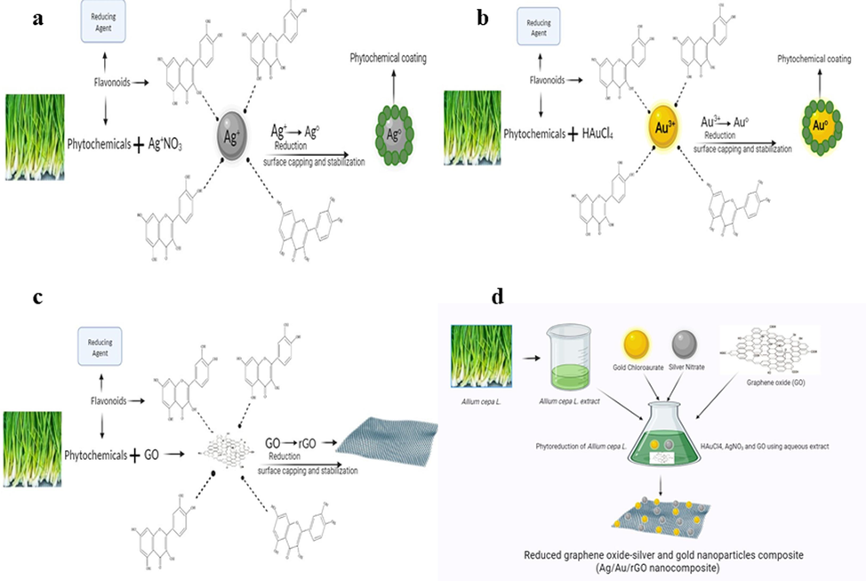 Illustration shows the mechanisms involved in nanomaterials synthesis.