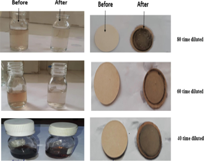 Photos of olive mill wastewater solutions (left) and the HT- Gh-OS3 membrane (right) before and after filtration of olive mill wastewater at different dilution rates.