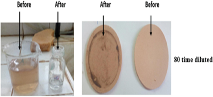 Photos of olive mill wastewater solutions (left) HT- Gh-AC3 membrane (right) before and after filtration of olive mill wastewater diluted to 80%.