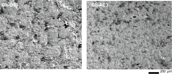 Micrograph of supports (right) Gh-AC3, (left) Gh-OS3.