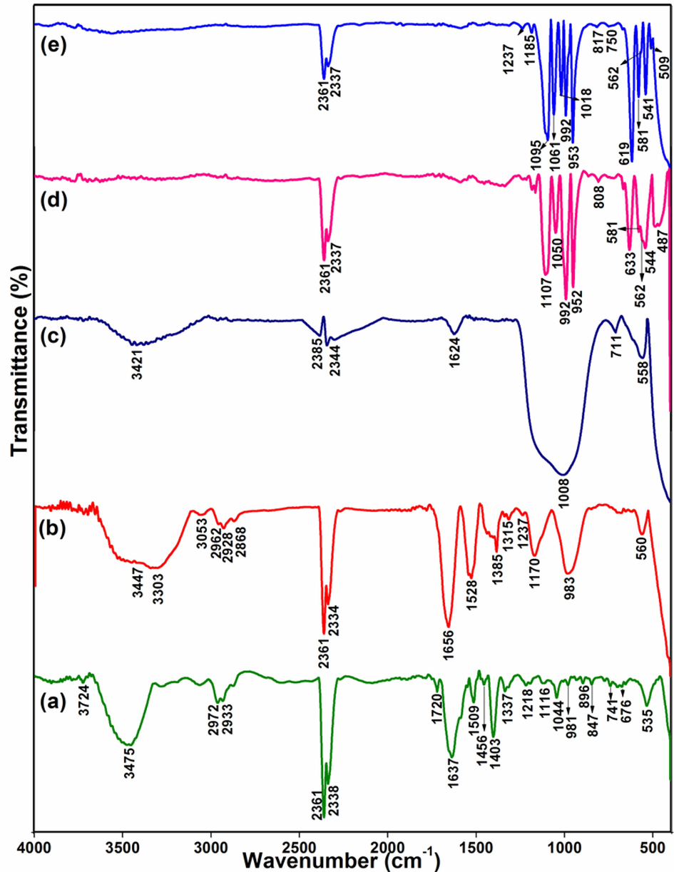 FT-IR spectra of (a) P. semisulcatus extract, (b) CeNC@T1, (c) CeNC@T2, (d) CeNC@T3 and (e) Ag-CeNC@T3.