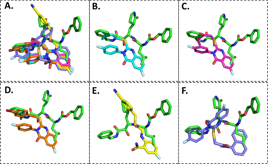 Overlay of the conformations of the docked ligands (green) vs. VR4 (co-crystallized), A. Top 5 high scoring quinazolinone derivatives, B. Compound 5b, C. Compound 5c, D. Compound 5i, E. Compound 5j, F. Compound 5 l in the active pocket of main protease 3CLpro.