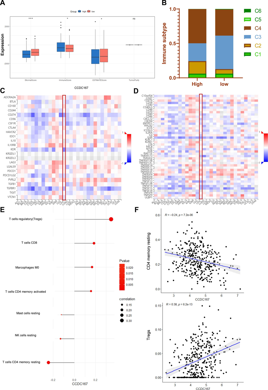 Relationship between CCDC167 and immune function in patients with hepatocellular carcinoma. (A) Box-and-line plot demonstrating the immunity scores of the CCDC167 high and low expression groups. (B) Stacked plots demonstrating the immune subtypes of CCDC167 high and low expression groups. (C) Heatmap of correlation between CCDC167 and immunosuppressants (TISIDB). (D) Heatmap of correlation between CCDC167 and immune enhancers (TISIDB). (E) Bubble diagram showing the correlation of CCDC167 with immune cells. (F) Scatterplot showing the correlation of CCDC167 with immune cells, the top panel shows the correlation scatterplot of CCDC167 with Treg, and the bottom panel shows the correlation scatterplot of CCDC167 with T cells CD4 memory resting. ***P < 0.001, **P < 0.01, *P < 0.05, ns: not significantly.