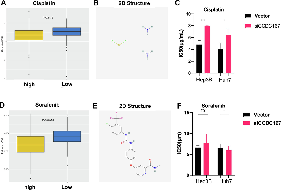 Sensitivity analysis of CCDC167 with chemotherapeutic drugs. (A, D) Box plot demonstrating the sensitivity of CCDC167 high and low expression groups with sorafenib and cisplatin. (B, E) 2D structure of cisplatin and sorafenib（Pubchem）.(C, F) Detection of IC50 of hepatocellular carcinoma cells to cisplatin and sorafenib. ***P < 0.001, **P < 0.01, *P < 0.05, ns: not significantly.