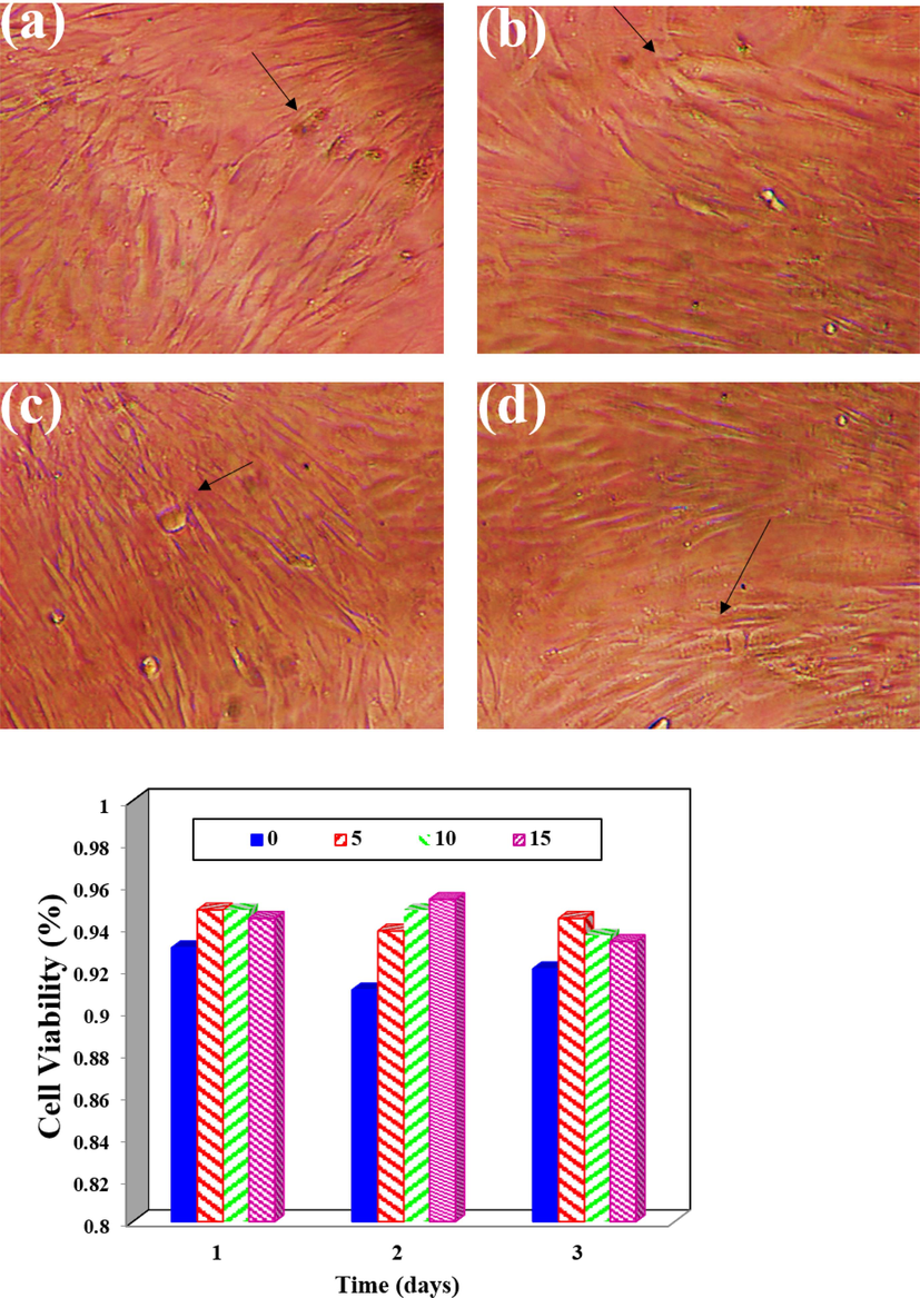 Cell Viability Analysis (a-d) The viability of cells is assessed at 24 h, 48 h, and 72 h for various samples containing Ti-NP.