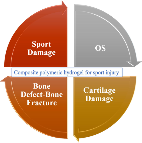 Specialized use of bio-nanocomposite hydrogels in the repair of tissue damage resulting from sports injuries, including fracture or cartilage damage.