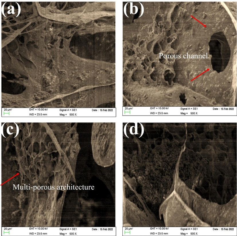 SEM images of the HA layer deposited on a hyaluronic acid-Alginate/HA sample containing (a) 0 wt%, (b) 5 wt%, and (c) 10 wt%, and d) 15 wt% Ti-NP.