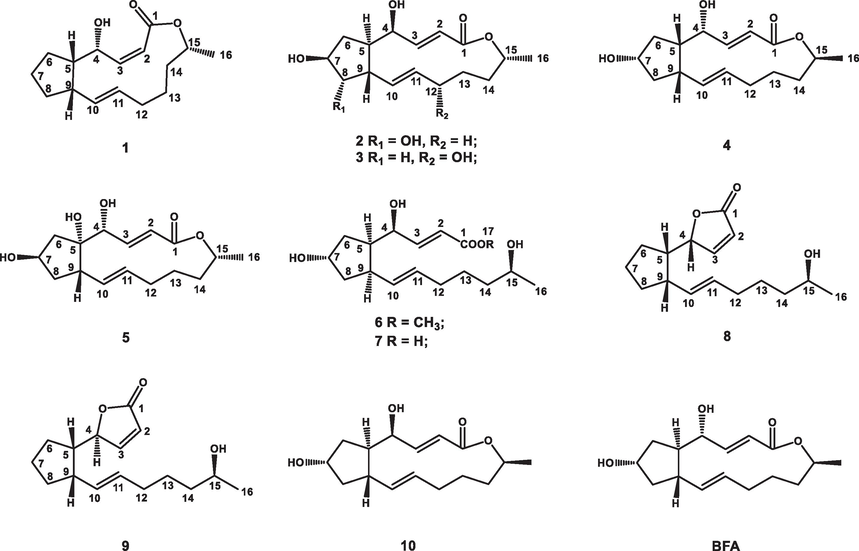 Chemical structures of compounds 1–10 and BFA.