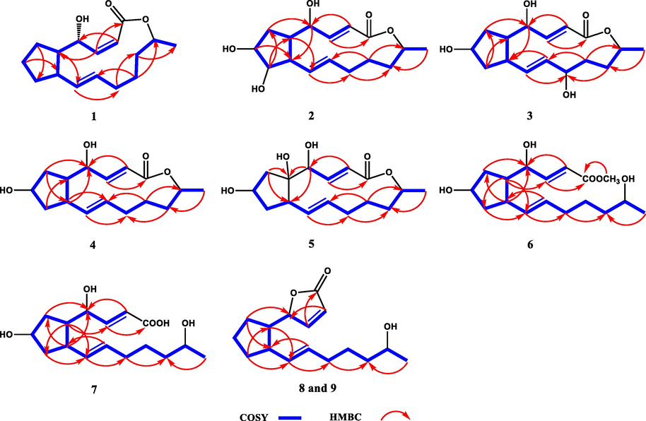 Key 1H–1H COSY and HMBC correlations of compounds 1–9.