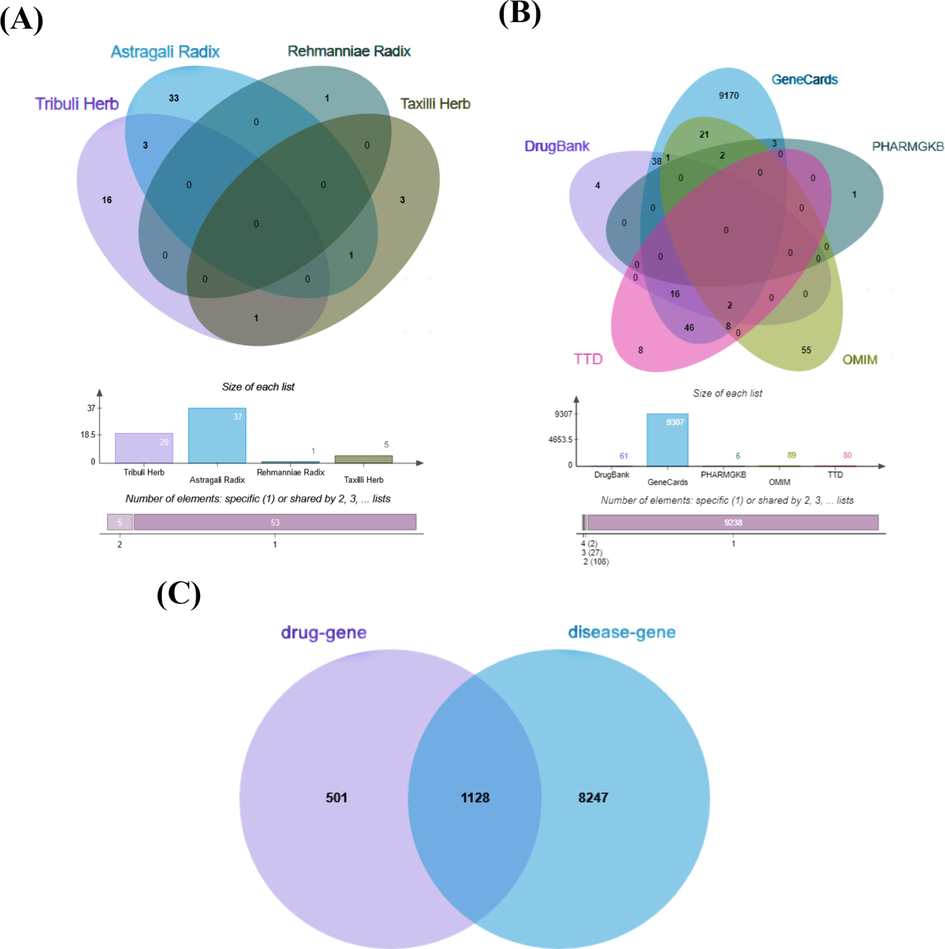 Databases construction. (A) Active ingredients of Y-Q-Y-Y-Y. (B) Rat obesity targets. (C) Intersectional targets of Y-Q-Y-Y-Y for the treatment of obesity in rats.