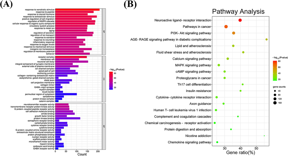 Enrichment analysis. (A) GO enrichment analysis. (B) KEGG enrichment analysis.