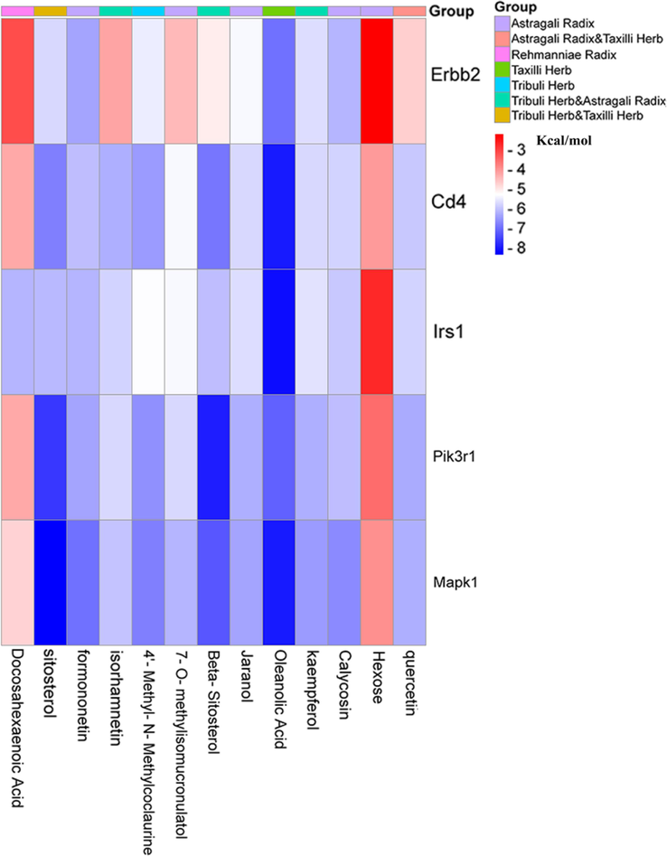 Molecular docking clustering heat map. Horizontal letters and vertical letters indicate key active ingredients and hub targets, respectively. The number on the right in the figure indicates the affinity energy (Unit: kcal.mol−1). The smaller the binding energy, the better the binding. The group on the right in the figure indicates which herbal medicine the active ingredient belongs to.