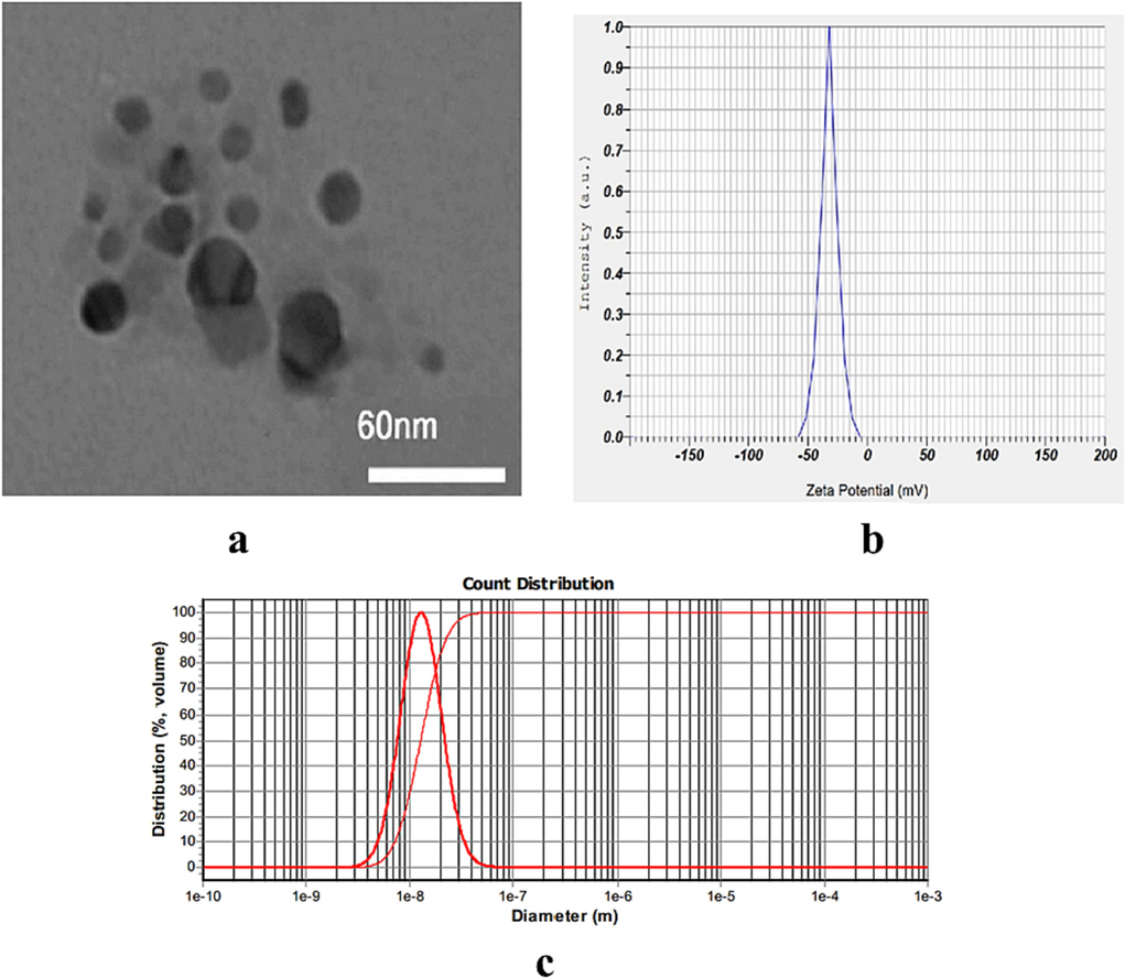 The characterization of resveratrol loaded in copolymer nanoparticles (RES.CP.NPs) morphology by TEM (a), Zeta potential (b) and particle size (c) .