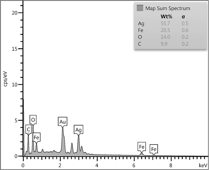 EDX spectrum of Fe3O4/Ag NPs.