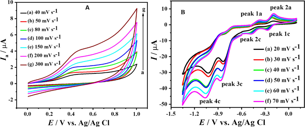 CVs of 1 mM DDT in oxidation (A) and reduction (B) region at pH 10 and different scan rates.