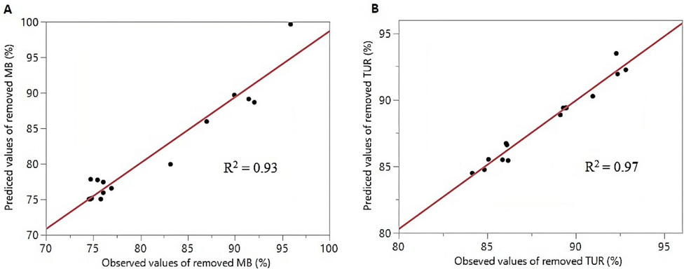 MB and TUR values removed obtained experimentally versus predicted values by the models.