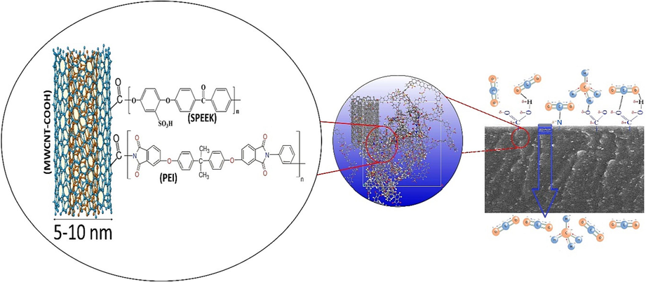 Schematic of interactions the membrane and the gas molecules.