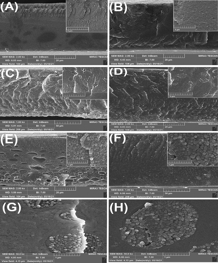 FESEM cross-sectional images of composite membranes, (A) PEI (B) SPEEK (C) SP55 (D) SP82 (E) SP28M0.5 (F) SP55M1 (G) SP28M0.5 (50.0 kx) (H) SP55M1 (50.0 kx).