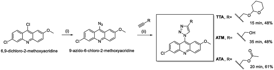 Synthetic pathway for the synthesis of the new 1,2,3-triazoyl-acridine derivatives. (i) NaN3, DMF, 65 °C, 42 h. (ii) respective alkyne, CuSO4·5H2O, AcOH (cat.), sodium ascorbate, t-BuOH/H2O (1:1), 15–35 min, ultrasound irradiation.