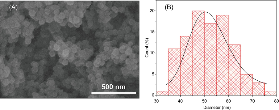 (A) Scanning electron micrograph of the nanoparticles. (B) Particle size distribution calculated by ImageJ software.