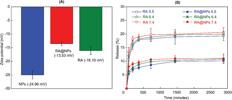 (A) Zeta potential of NPs, RA and RA-loaded NPs. (B) Release profile of RA@NPs at various pH.