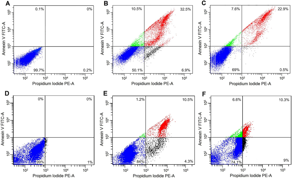 Flow cytometry analysis of cancer cells using Annexin V-FITC/PI staining. (A-C) AGS and (D-F) CT26 cells were incubated with RA@NPs (B, E) or RA (C, F). The untreated cells are control groups (A, D). Viable cells (lower left square), early apoptotic cells (upper left square), late apoptotic cells (upper right square) and necrotic cells (lower right square).